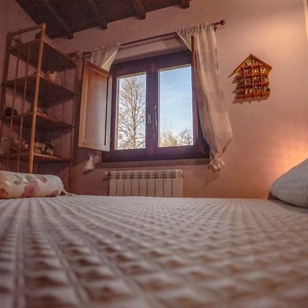 Villa Farfalla Bianca Vitorchiano Zewnętrze zdjęcie